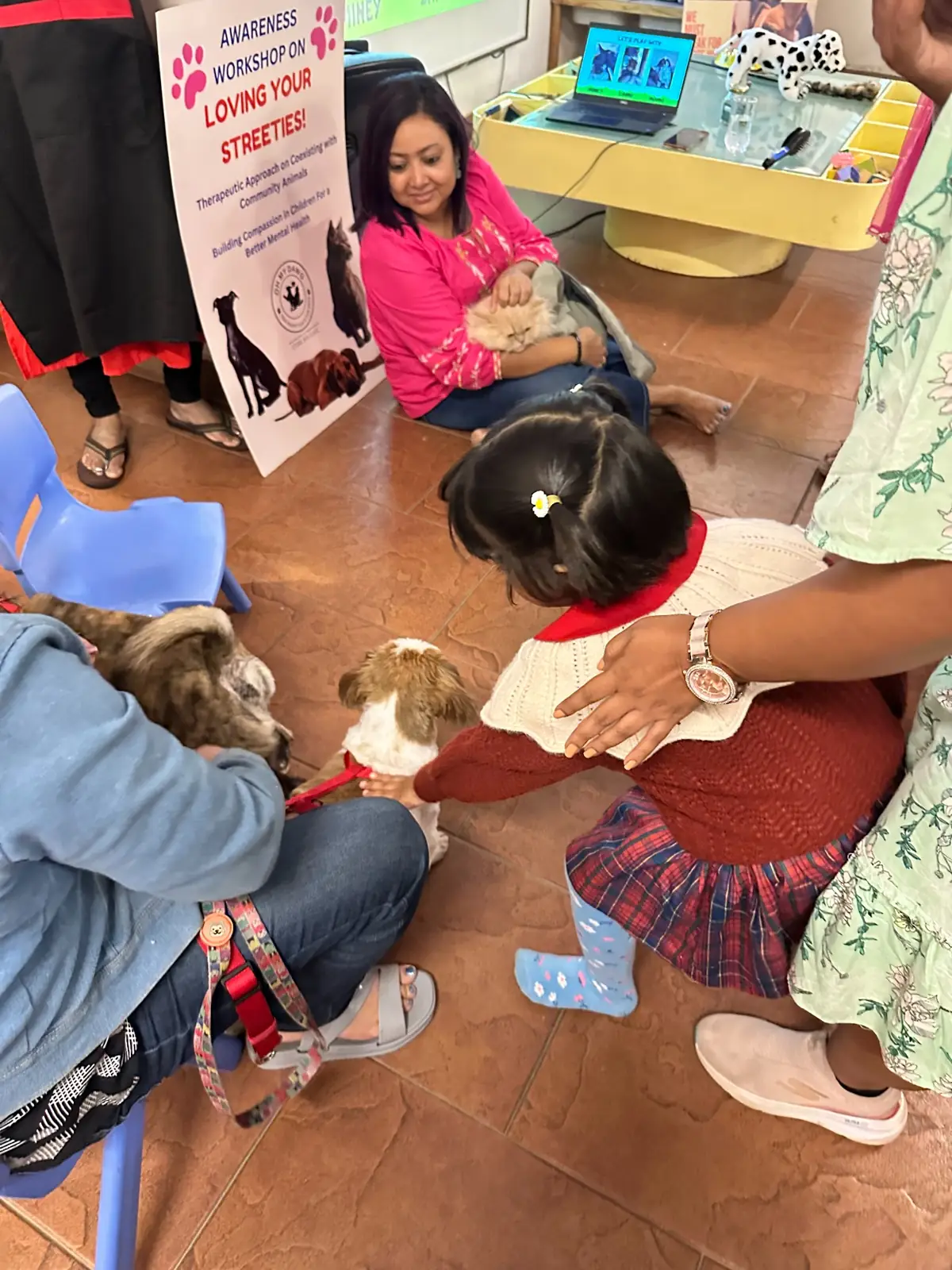 Vet Clinic, Pet Grooming & Pet Store in HSR Layout | Oh My Dawg